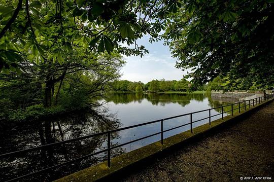 Onderzoek: gemeenten planten soms bomen die slecht zijn voor biodiversiteit