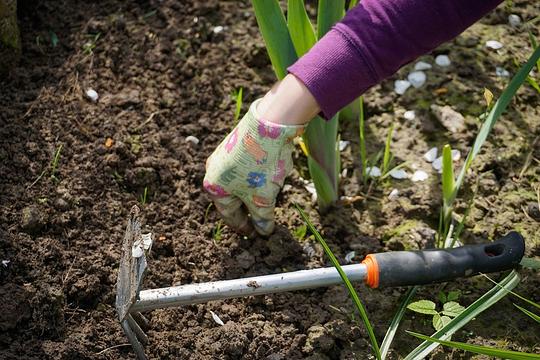 Nationale Klimaatweek van start