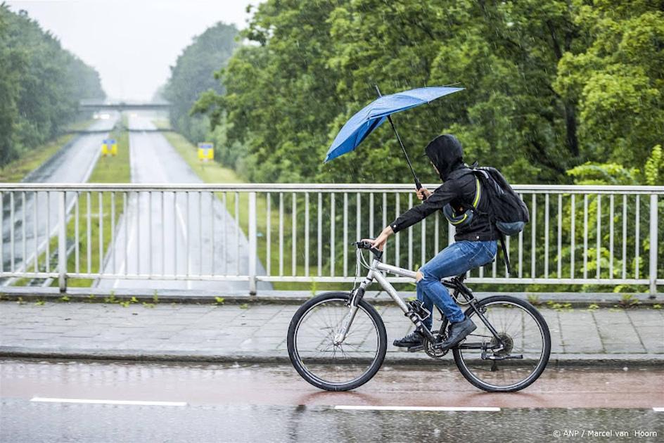 paraplu met regen