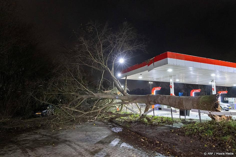 omgevallen boom bij tankstation