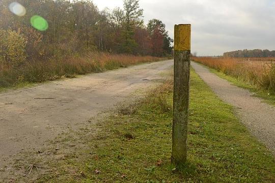 Drenthe breidt natuurgebied uit met 220 hectare / Foto: "Bargerveen" door Rene Mensen