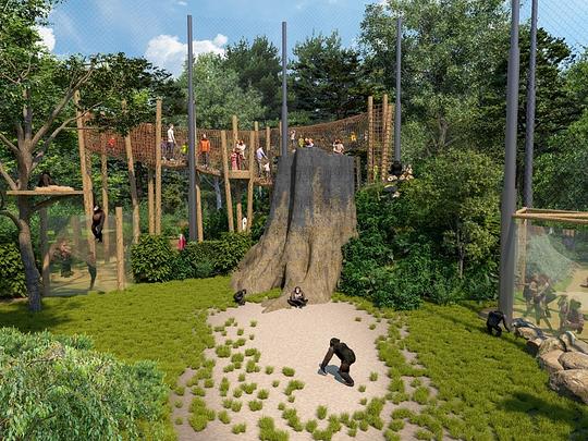 Opening Chimpanseevallei DierenPark Amersfoort gepland voor 16 december