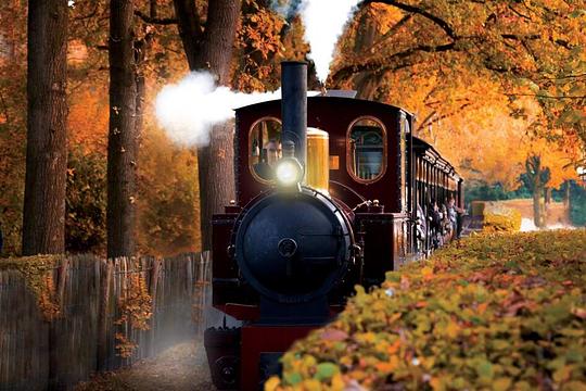 Efteling-stoomtrein onverwachts gesloten / foto: Efteling