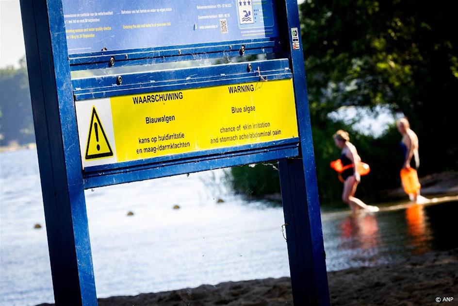 Natte zomer is ook goed nieuws: weinig meldingen van blauwalg